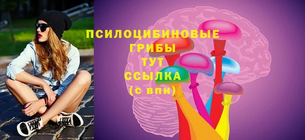спайс Няндома