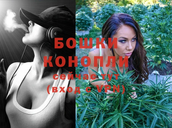 спайс Няндома