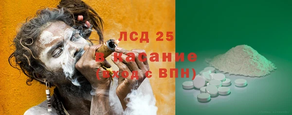 сатива Нязепетровск