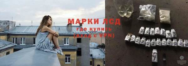 спайс Няндома
