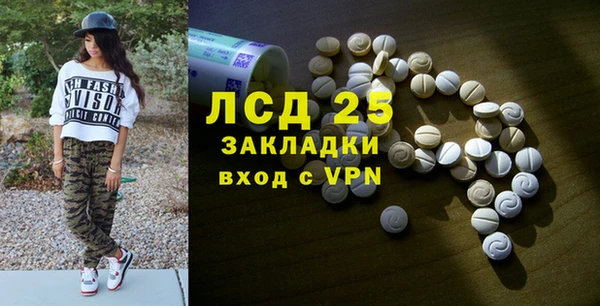 твердый Гусев