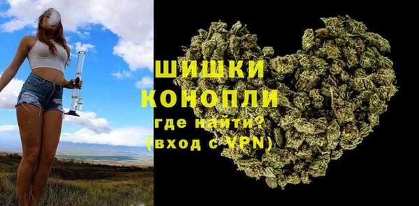 сатива Нязепетровск