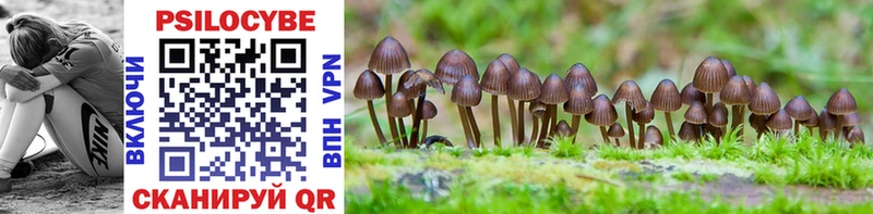 Галлюциногенные грибы Psilocybine cubensis Сольцы